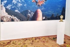 RN_ausstellung-32_h30