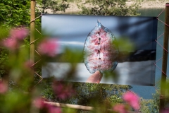 20210626132414-_PL64610_h30