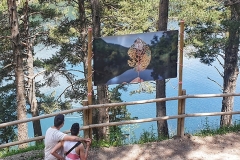 20210626_132138-01-1_h30