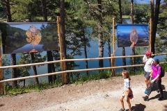 20210626_160712-01-1_h30