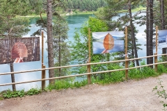 20210630_133208-01_h30