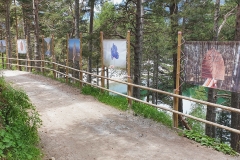 20210630_135210-01-1_h30