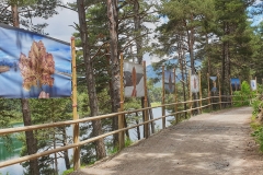 20210630_135641-01-1_h30