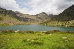 IMG-20210627-WA0004-01_h30