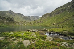 IMG-20210627-WA0005-01_h30