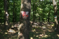 LQ_Blatthaeuterwald_13