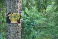 LQ_Blatthaeuterwald_14