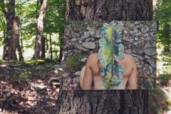 LQ_Blatthaeuterwald_16