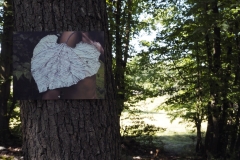 LQ_Blatthaeuterwald_19