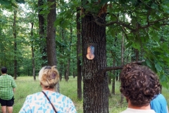 LQ_Blatthaeuterwald_27