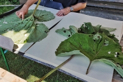 Angela Andorrer collects small leaves on hikes, which she works on with acrylic, oil, yarn and beads - BLATTSCAPES. She is especially inspired by leaves eaten by snails, caterpillars and beetles, and when a leaf breaks in a thin place, she sews it back together, similar to a surgical operation. We must learn again to treat the trees, the plants and the leaves with respect, because nature, forms the climate that surrounds us and that forms our basis of life. Each leaf becomes a 'relic of nature' and a kneel before creation. // Angela Andorrer sammelt auf Wanderungen kleine Blätter, die sie mit Acryl, Öl, Garn und Perlen bearbeitet - BLATTSCAPES. Besonders inspirieren sie von Schnecken, Raupen und Käfern zerfressene Blätter und wenn ein Blatt an einer dünnen Stelle bricht, näht sie es wieder zusammen, ähnlich einer chirurgischen Operation. Wir müssen wieder lernen respektvoll mit den Bäumen, den Pflanzen und den Blättern um zu gehen, denn die Natur, bildet das Klima, das uns umgibt und das unsere Lebensgrundlage bildet. Jedes Blatt wird zur ‚Reliquie der Natur‘ und zum Kniefall vor der Schöpfung.