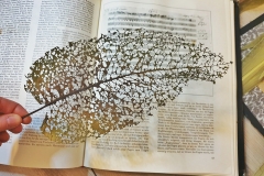 Angela Andorrer collects small leaves on hikes, which she works on with acrylic, oil, yarn and beads - BLATTSCAPES. She is especially inspired by leaves eaten by snails, caterpillars and beetles, and when a leaf breaks in a thin place, she sews it back together, similar to a surgical operation. We must learn again to treat the trees, the plants and the leaves with respect, because nature, forms the climate that surrounds us and that forms our basis of life. Each leaf becomes a 'relic of nature' and a kneel before creation. // Angela Andorrer sammelt auf Wanderungen kleine Blätter, die sie mit Acryl, Öl, Garn und Perlen bearbeitet - BLATTSCAPES. Besonders inspirieren sie von Schnecken, Raupen und Käfern zerfressene Blätter und wenn ein Blatt an einer dünnen Stelle bricht, näht sie es wieder zusammen, ähnlich einer chirurgischen Operation. Wir müssen wieder lernen respektvoll mit den Bäumen, den Pflanzen und den Blättern um zu gehen, denn die Natur, bildet das Klima, das uns umgibt und das unsere Lebensgrundlage bildet. Jedes Blatt wird zur ‚Reliquie der Natur‘ und zum Kniefall vor der Schöpfung.