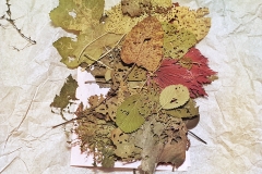 Angela Andorrer collects small leaves on hikes, which she works on with acrylic, oil, yarn and beads - BLATTSCAPES. She is especially inspired by leaves eaten by snails, caterpillars and beetles, and when a leaf breaks in a thin place, she sews it back together, similar to a surgical operation. We must learn again to treat the trees, the plants and the leaves with respect, because nature, forms the climate that surrounds us and that forms our basis of life. Each leaf becomes a 'relic of nature' and a kneel before creation. // Angela Andorrer sammelt auf Wanderungen kleine Blätter, die sie mit Acryl, Öl, Garn und Perlen bearbeitet - BLATTSCAPES. Besonders inspirieren sie von Schnecken, Raupen und Käfern zerfressene Blätter und wenn ein Blatt an einer dünnen Stelle bricht, näht sie es wieder zusammen, ähnlich einer chirurgischen Operation. Wir müssen wieder lernen respektvoll mit den Bäumen, den Pflanzen und den Blättern um zu gehen, denn die Natur, bildet das Klima, das uns umgibt und das unsere Lebensgrundlage bildet. Jedes Blatt wird zur ‚Reliquie der Natur‘ und zum Kniefall vor der Schöpfung.