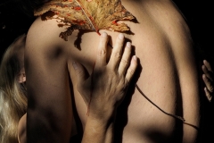 SkinLeaves_27_2022_h30