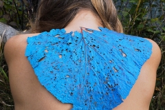 SkinLeaves_31_2022_h30