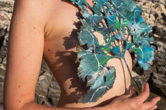 SkinLeaves_49_2023_h30