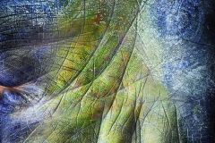 6-www-1
