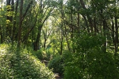 18_LQ_20170521_155300