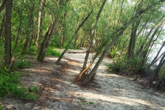 18a_LQ_20170521_155049