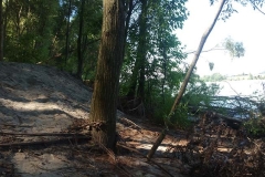 19_LQ-20160710_154506