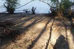 20_LQ_20170521_170152