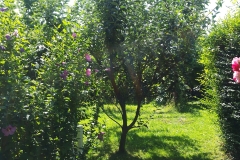 7_LQ-ateliergarten-hinten