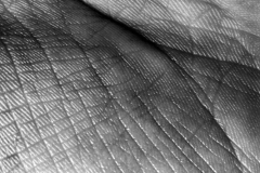 hs_unified_lehrner_detail-5