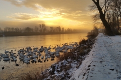 WP-atelierumgebung-37