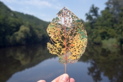 LQ_TravelingLeaf_2020_35