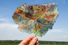LQ_TravelingLeaf_2020_37